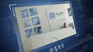 Ally Biz Corporate Video Cover Photo
